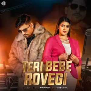 Teri Bebe Rovegi image