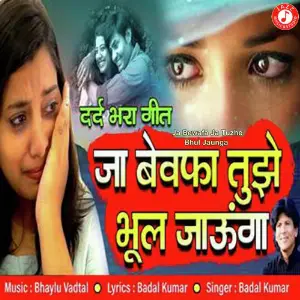 Ja Bewafa Ja Tuzhe Bhul Jaunga image
