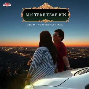 Bin Tere Tere Bin image