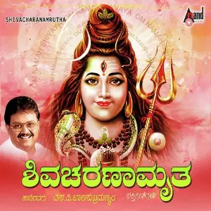 Shiva Charanamrutha image