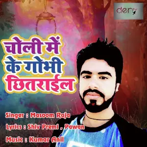 Choli Me Ke Gobhi Chhitarail image