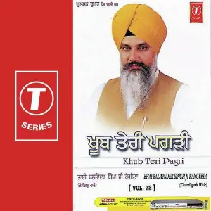 Khub Teri Pagri (Vol. 72) image