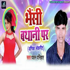 Bhaisi Bathani Par image