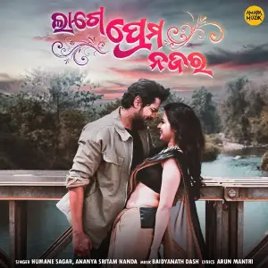 Lage Prema Najar image