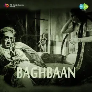Baghbaan image