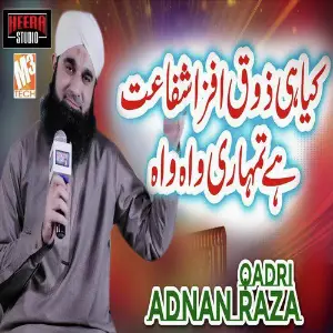 Kiya Hi Zauq - Single image