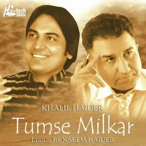 Tumse Milkar - Geet  Ghazals image