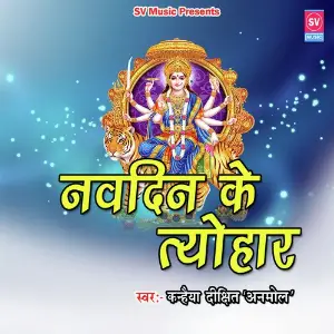 Navdin Ke Tyohar image