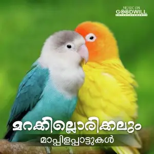 Marakillorikkalum image