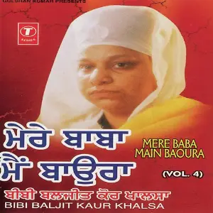 Mere Baba Main Baoura (Vol. 4) image