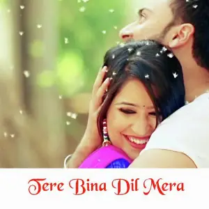 Tere Bina Dil Mera image
