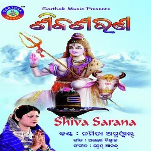 Shiba Sarana image