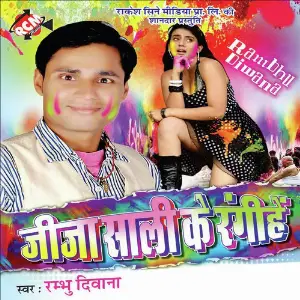 Jija Sali Ke Rangihe image