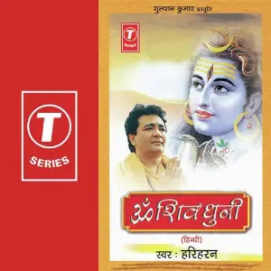 Om Shiv Dhuni image