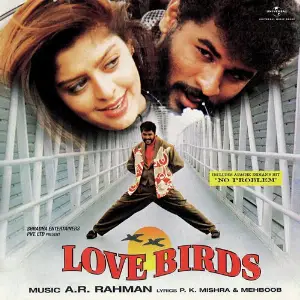 Love Birds image