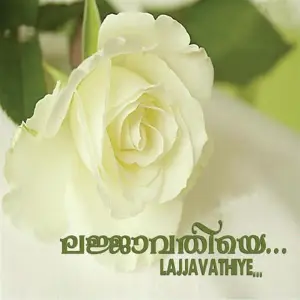 Lajjavathiye image
