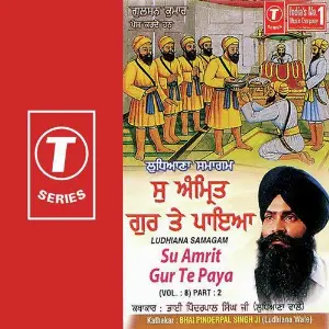 Su Amrit Gur Te Paya (Vol. 8) (Part 2) image