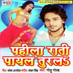 Pahila Rati Payal Turale image