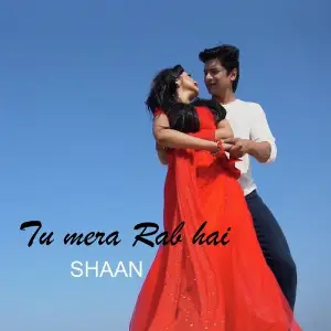 Tu Mera Rab Hai image