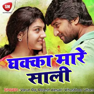 Dhakka Mare Sali-Maithili Song image
