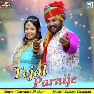 Tejal Parnije image