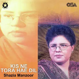 Kis Ne Tora Hae Dil image