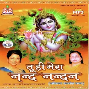 Tu Hi Mera Nand Nandan image