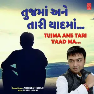 Rangae Jane Rang Ma Abhijeet Bhatt, Nikhil-Vinay