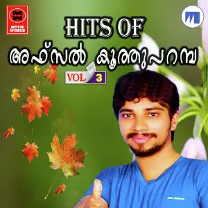 Hits Of Afsal Koothuparambu - Vol. 3 image