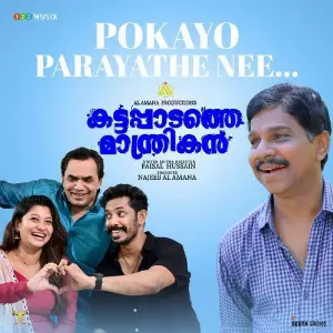 Pokayo Parayathe Nee (From Kattappadathe Manthrikan) image