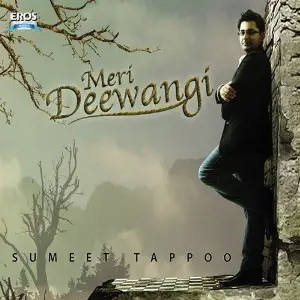 Meri Deewangi image