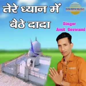 Tere Dhyan Mein Baithe Dada image