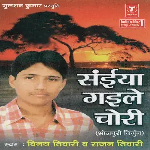 Saiya Gayile Chori image
