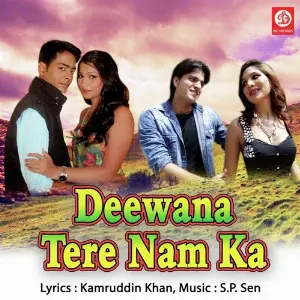 Deewana Tere Naam Ka image