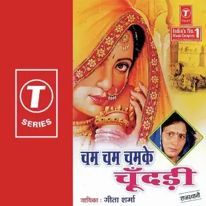Cham Cham Chamke Choondadi image