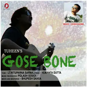 Gose Bone - Single image