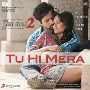 Tu Hi Mera image