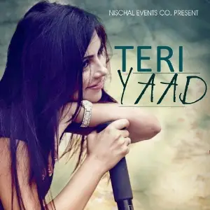 Teri Yaad image