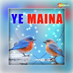 Ye Maina image