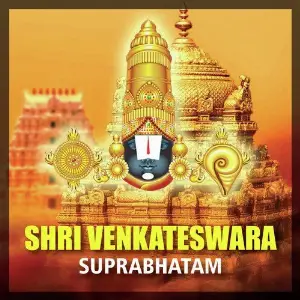 Shri Venkateshwara image