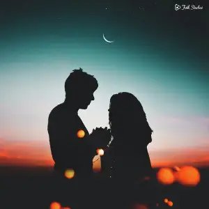 The Love Mashup 2.0 image