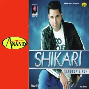 Shikari image