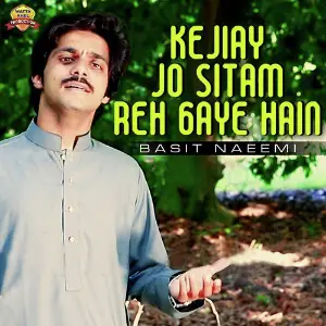 Kejiay Jo Sitam Reh Gaye Hain image