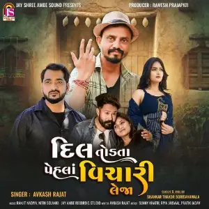 Dil Todata Pehla Vichari Lejo image