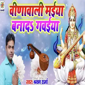 Veena Wali Maiya Bana Di Gawaiya image