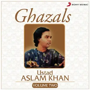 Ghazals, Vol. 2 image