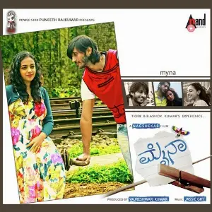 Mynaa image