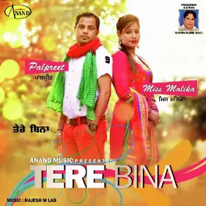 Tere Bina image
