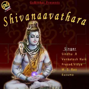 Shivanaavathara image