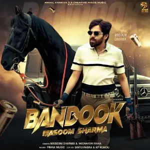Bandook image
